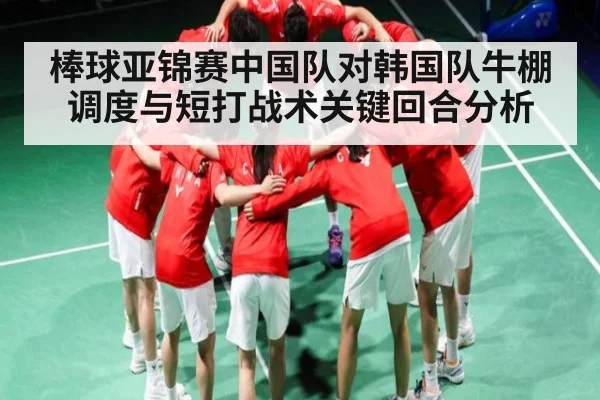 棒球亚锦赛中国队对韩国队牛棚调度与短打战术关键回合分析（hth）